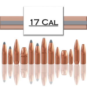 .17 Bullets