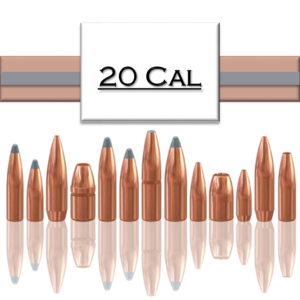 .20 Bullets
