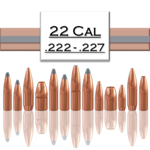 .224 Bullets
