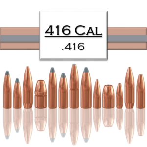 .416 Bullets