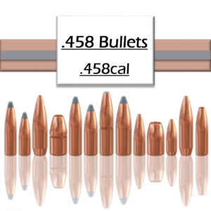 .458 Bullets