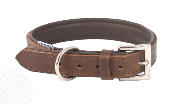 Dog Collar