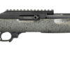 Ruger Competition 10/22 22LR