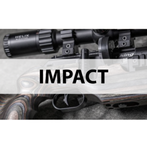 FX IMPACT