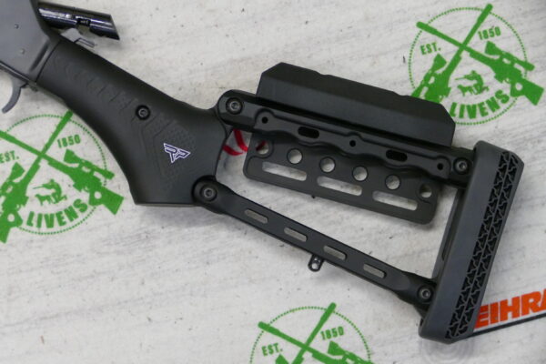 Henry Model X with Ranger Point Precision Tactical Stock - Image 6