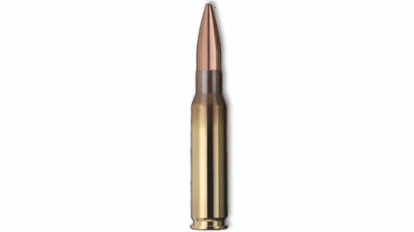 GECO .308 Win. TARGET HP 168gr Ammo