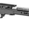 Ruger 10/22 Carbon Fiber With Grey Birch Chassis