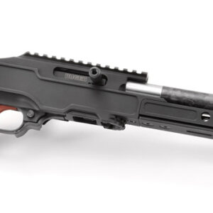 Ruger 10/22 Carbon Fiber With Grey Birch Chassis