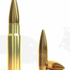 Sellier & Bellot .300 Blackout 200gr FMJ Subsonic Ammo — 100 Rounds